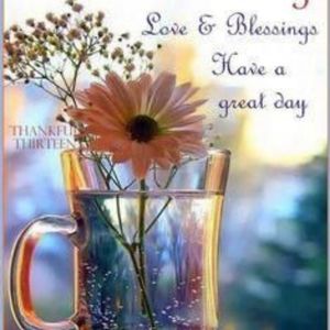 Meet your Posher, Sunita